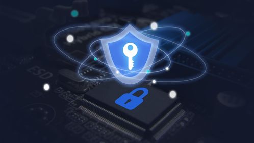 网络安全公司 在守卫数字世界时，如何为自己构筑坚固的防线？